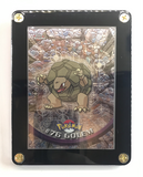 Pokemon Topps Chrome 2000 TV Animation Series 1 #76 Golem in Display Frame